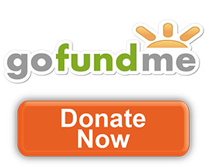 Go Fund Me Donate Button 401 Kids